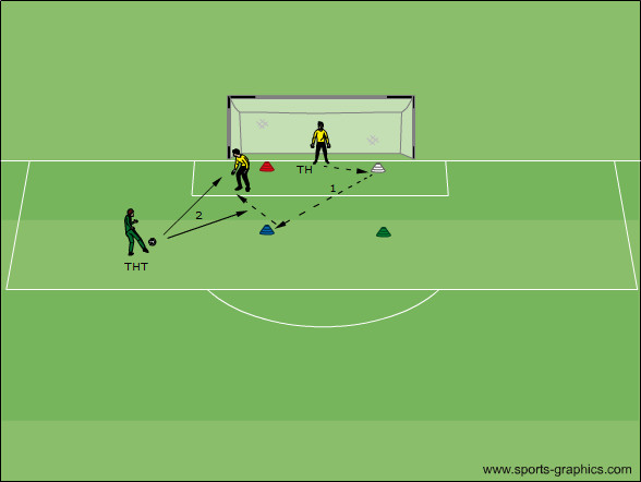 Schnelligkeit / Agility & Reaktion